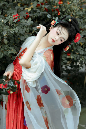 日常幻想指南在线完整版